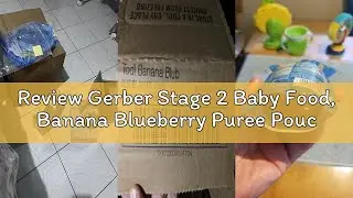 Review Gerber Stage 2 Baby Food, Banana Blueberry Puree Pouch, 2 Servings of Fruit, No Added Sweeten