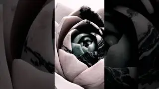 Marble Flower | MacroArt ✨🌸 #satisfying #trendingshorts