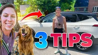 3 Tips For Starting Your Dog Walking Business