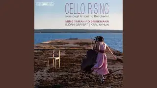 Ricercate sopra il violoncello, Op. 1: Ricercata decima