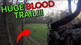 I SHOT A DEER WITH MY BOW - Mission Craze Bow Kill