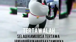 CAPTION PANDA LUCU