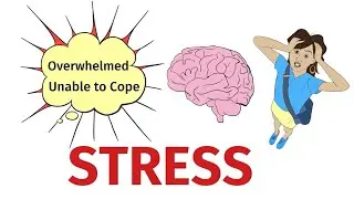 How does Stress Affect ME/CFS?