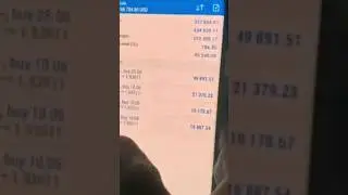 moalimu forex trading