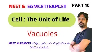 Vacuoles || cell The Unit of Life Chapter Line to line Explanation || PART 10