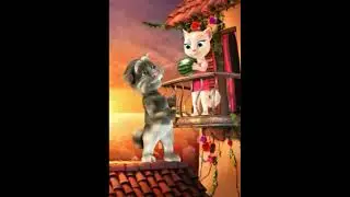 Tom and cat gaali masti   Tom masti   Tom funny videos   Tom the cat   funny gaali video hindi