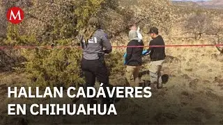 Hallan dos cuerpos semicubiertos en el municipio de Cuauht&eacute;moc, Chihuahua