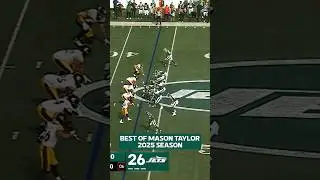Mason Taylor Rookie Highlight Reel