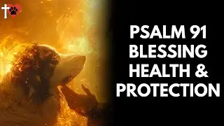 Psalm 91 Prayer for Dogs   Health Blessing and Daily Protection &ndash; prayer for dog