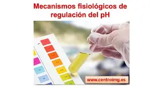 Our metabolism is acidic. Physiological pH control. IMG Center