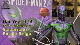 Hot Toys - Человек-паук Майлз Морлз, фиолетовый костюм Reign - масштаб 1/6, пластик - полный обзор