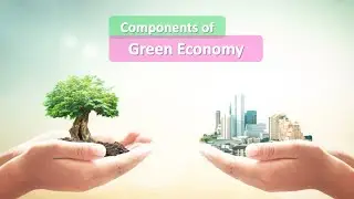 Components of a Green Economy