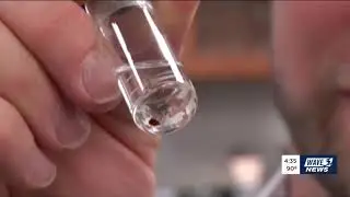 Lyme Disease: The Danger of Delaying Testing Can Be Devastating