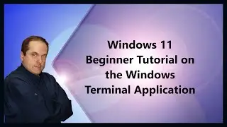Учебное пособие для начинающих по Windows 11 по приложению Windows Terminal