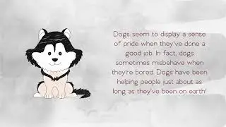 Pet's Life Coach, Carrie Hyde, on 