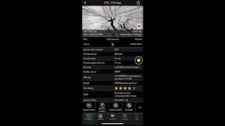 Aperture, Shutter Speed, ISO, Focal length on iPhone or iPad | #shorts