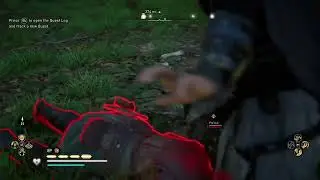 Assassin’s Creed Valhalla unique internal assassination animation (instructions in description)
