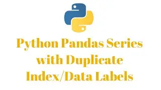 Python Pandas Series with Duplicate Data Labels/Indexes