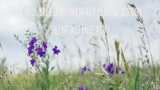 Gentle Breeze Bath Energy Healing Session - Silent Distance Reiki