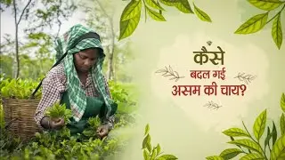 Tax Se Taste Tak-Assam Tea | Next Gen GST Reforms