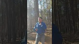NW GA Timber Harvest VS Habitat part 2. Georgia Forestery Association. #forestry #habitat #timber 