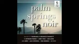 Palm Springs Noir - Barbara Demarco-Barrett