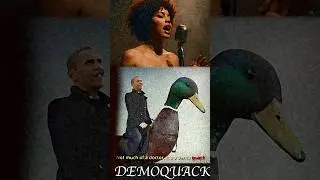 New Music 