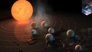 NASA discovers star system home to 7 Earth-like planets that could hold water, life - TomoNews
