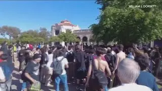 Videos show violence, stealing on International Go Skateboarding Day