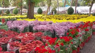 Flower Festival, Ben Thanh, HCMC, Vietnam 