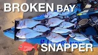 Broken Bay Snapper
