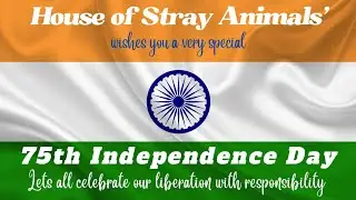 Independence Day Short Film | Animal cruelty awareness | House Of Stray| Animal Lover