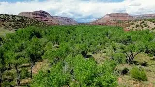 LANDSCAPE NM | DRONE FOOTAGE