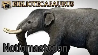 Notiomastodon , Qu&eacute; fue??, Qu&eacute; era??, BIBLIOTECASAURUS📜.