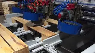 Pallet legs nailer with magazines