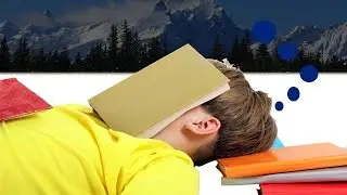 Study While You Sleep!