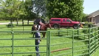 Evaluation of the Feather Light Wade by J C Martin Saddle Co. with Smokie Brannaman