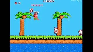 Adventure Island / Islander &ndash; 8-Bit Classic Survival Run! | Retro Platformer Legend