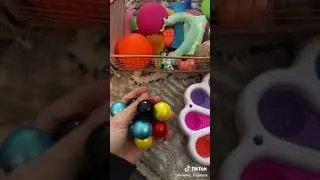 #diy tiktok compilation #diy fidget trading #diy fidget toys#short #simpledimple pop#fidgets@trading