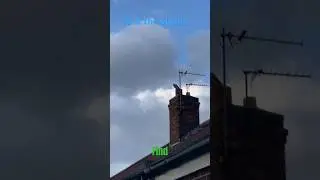 Find the pigeon in this video? #shorts#wind# clouds