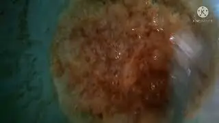 kale til ka laddu kaise banate hai