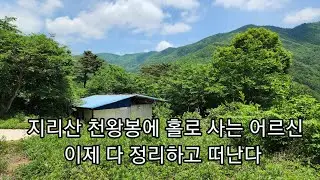 83세 어르신 홀로 지리산 천왕봉 1만평의 야생산을 개간하여 하우스에 14년간  산야초 뜯어먹고 살았다. 이제 다 정리하고 가족이 있는 미국으로 돌아가고싶다