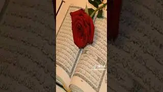 imranbablo #islam #allah #muhammad #like #live #love #story