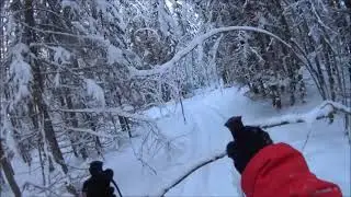 Skishoeing in our own forest trail. Using Hok backcountry skis from Altai skis.Feb2021, Finland