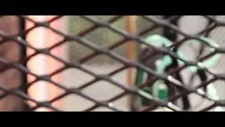 Expanded Mesh Enclosures