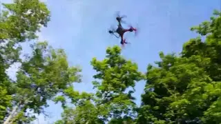 Outdoor Flight: Sky Dreamer Plus