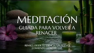 🦋 Meditaci&oacute;n Guiada para VOLVER a RENACER | Meditaci&oacute;n Guiada para Soltar y Confiar |  Soluna Alma ✨