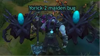 Yorick 2 maiden bug