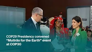 Председательство КС-29 организовало мероприятие &laquo;Mutir&atilde;o for the Earth&raquo; на КС-30