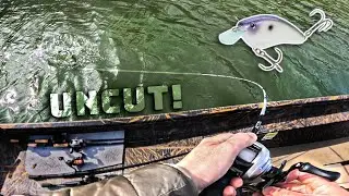 Uncut Winter Fishing Day With NEW Lure! (Crankbait Fishing Tips)